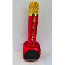 SingKing KTV Karaoke Bluetooth Mic & Music Speaker with Builtin MP3 Player