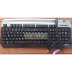 VigLen Powerful KeyBoard with USB Option