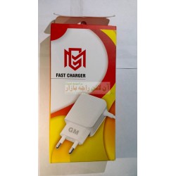 M G Fast Charger